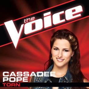 The Voice Collection album cover