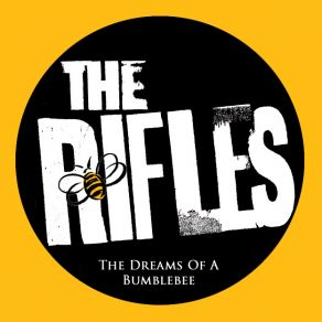 The Dreams Of A Bumblebee album cover