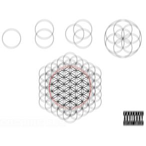 The Flower Of Life album cover