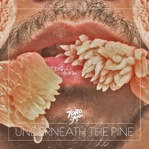 Underneath The Pine album cover