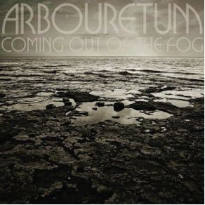 Coming Out Of The Fog album cover