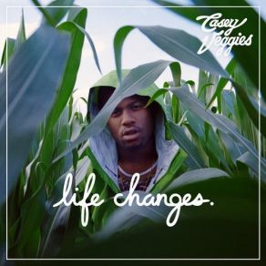 Life Changes album cover