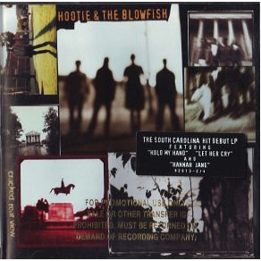Cracked Rear View album cover
