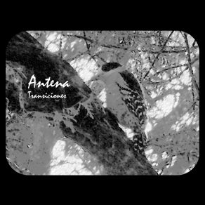 Transiciones album cover