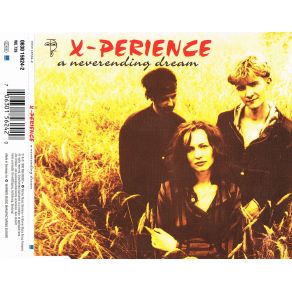 A Neverending Dream (Remixes) album cover