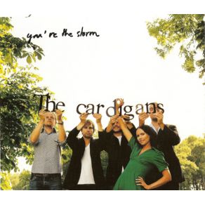 You'Re The Storm (Single)  album cover