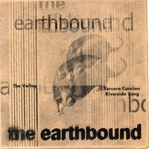 LIVE album cover