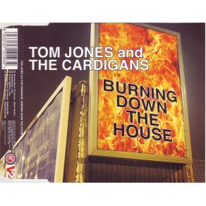 Burning Down The House (With Tom Jones) (Maxi - Single)  album cover