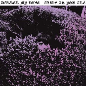 Alive As You Are album cover