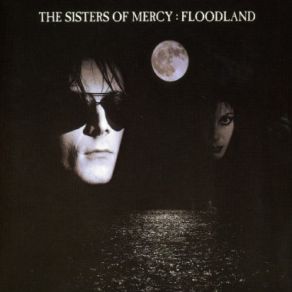 Floodland album cover